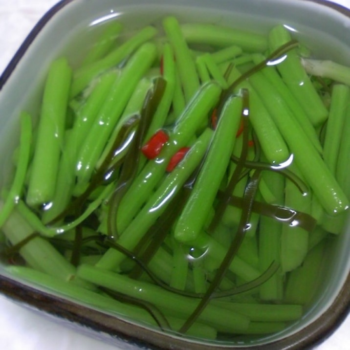 みずde水物 浅漬 シャキシャキ山菜 レシピ 作り方 By Fuu Tann 楽天レシピ みずde水物 浅漬 シャキシャキ山菜 レシピ 作り方 By Fuu Tann 楽天レシピ